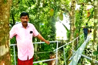 engineer builds a footbridge to reach the top of jackfruit trees