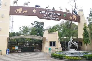 Kamala Nehru Zoological Museum