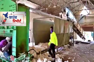 jind's cotton industry in critical condition due to corona and china india dispute