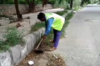 MCD has started preparations for it  before the monsoon arrives in Delhi