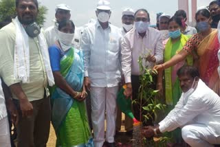 mla jaipal yadav participated in harithaharam in nagar kurnool district