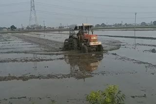 fatehgarh saihb, Rising fuel prices have hit farmers