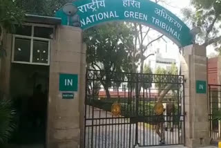 man complaint to ngt of running a dairy farm in Green Belt