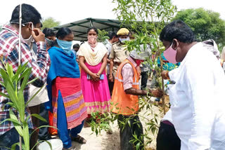 warangal rural collector haritha sudden visit in villages