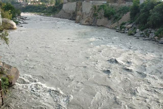 Ravi river in spate in first monsoon rains