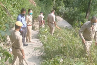 police destroyed Cannabis plants