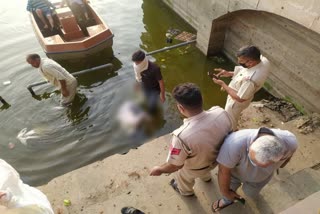 dead body found in rani talab jind