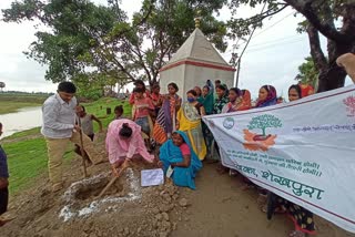 plantation program for jal jivan hariyali campaign in sheikhpura