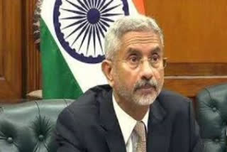 S Jaishankar External Affairs Minister Virtual ministerial meeting ஜெய் சங்கர் இந்திய வெளியுறவு துறை அமைச்சர் காணொலி கூட்டம் பெருந்தொற்று தவறான தகவல்