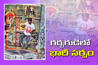 a-huge-snake-came-into-the-temple-in-jayashankar-bhupalapally-district