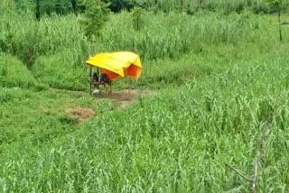 nepal-camp-remove-from-indian-land-in-motihari