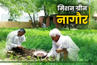 नागौर में मिशन मानसून, Mission monsoon in Nagaur