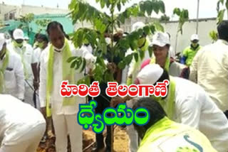 minister mallareddy participated in harithaharam programme in boduppal muncipal range