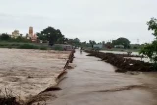 Heavy rains in Sangrampur taluka of Buldana district