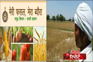 what is meri fasal mera byora scheme portal haryana