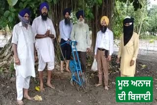 Sowing of traditional crops on land of takht sri damdama sahib