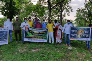 chandrapur MNS agitation