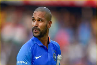 indian cricketer shikhar dhawan adopts two stray dogs