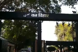 Van Vihar's closed gate