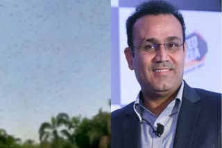 Virender Sehwag Shared Locusts attack right above his house in Delhi