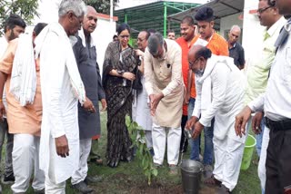 Birthday celebrated after tree planting