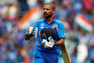 Shikhar Dhawan, India, Pets, social media