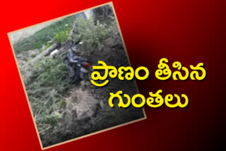 one died in bike accident at narsapuram village