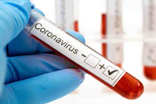 sonipat coronavirus case update