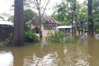 Flood in Dibru saikhuwa National Park