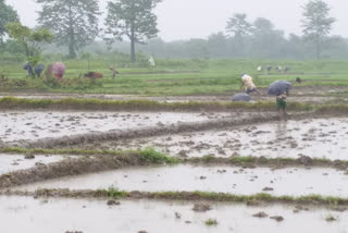 assam's villages depend on bhutan for water even years after independence