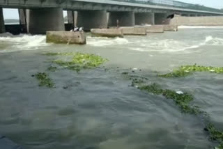 accidents in Yamuna river