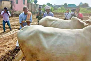 بہار میں کسان بنے نانا پاٹیکر