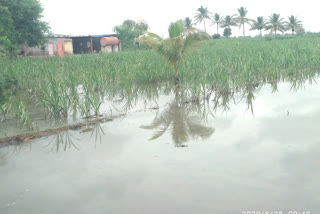 heavy rain in athani