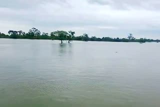 deadbody of an woman burried in a boat due to lack of suitable space during flood chabua dibrugarh assam etv bharat news