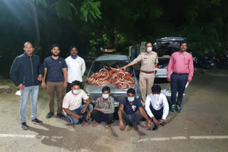 police arrested  Thieves in Uttar Pradesh for stolen copper wires in pune