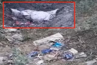 Dead Body found at in alipur