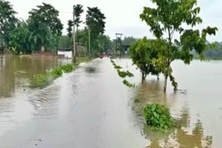 massive flood in nalbari