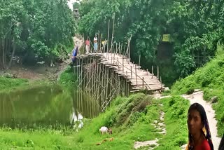 bamboo bridge for transportation