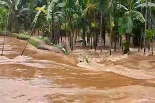 massive flood in kampur by kapili and barpani river