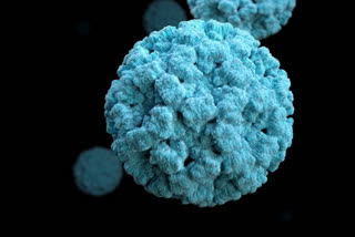 coronavirus