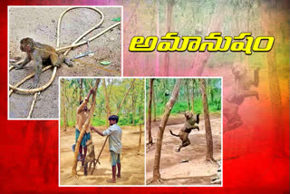 a-monkey-came-to-drink-water-some-peoples-was-hanged-that-creature-in-khammam-district
