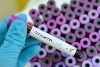 coronavirus positive in kinnaur