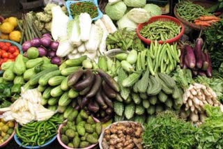 collector-fixed-price-of-vegetables-in-rajnandgaon