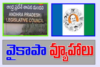 ysrcp, ap council