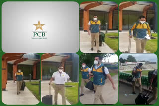 cricket team pakistan