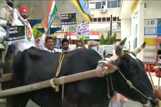 Congress protests over the increase in petrol prices in Krishna Nagar