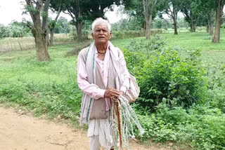 Garema sellers in Shahdol