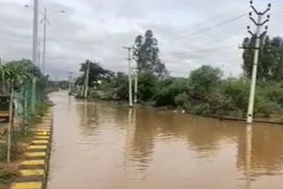 heavy rain in vikarabad tandoor