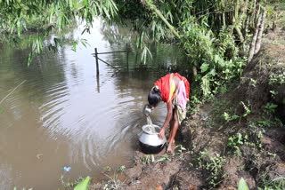 Development assam people using drinking water from drain chirang assam etv bharat news