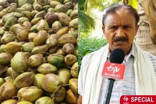 namakkal coconut farmers